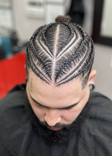 Braids-Locs-2