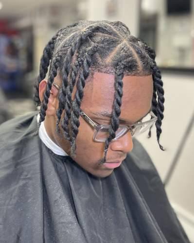 Braids-Locs-3